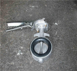 d71x對(duì)夾蝶閥